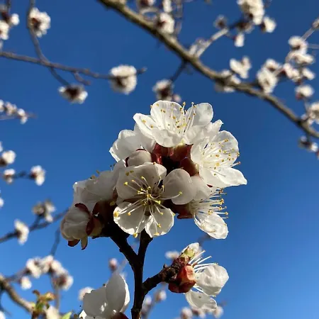 Gaestehaus Huber Séjour chez l'habitant