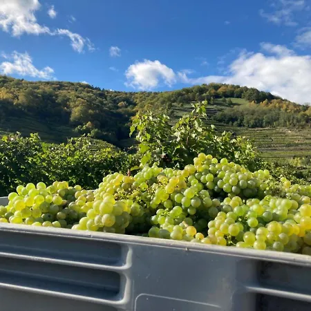 Séjour chez l'habitant Gaestehaus Huber Weissenkirchen in der Wachau