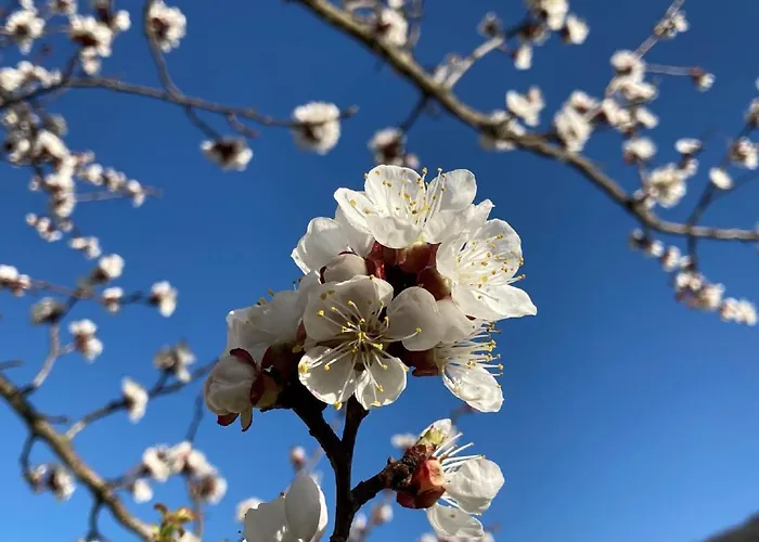Gaestehaus Huber Homestay szállás
