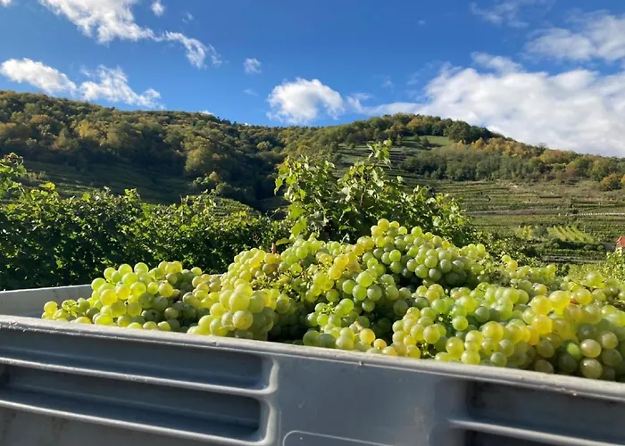 Privatunterkunft Huber Weißenkirchen in der Wachau